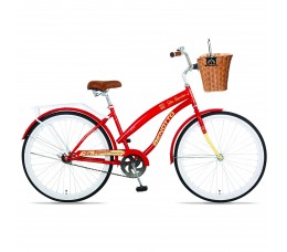 BICICLETA CANASTA